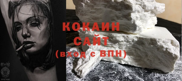 молекула духа Заполярный