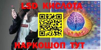 гашик Будённовск