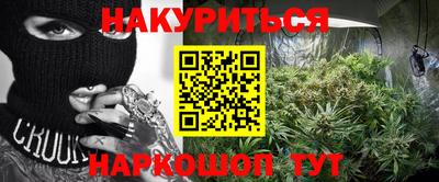 гашик Будённовск