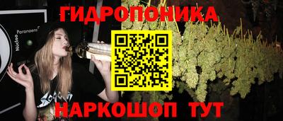 гашик Будённовск