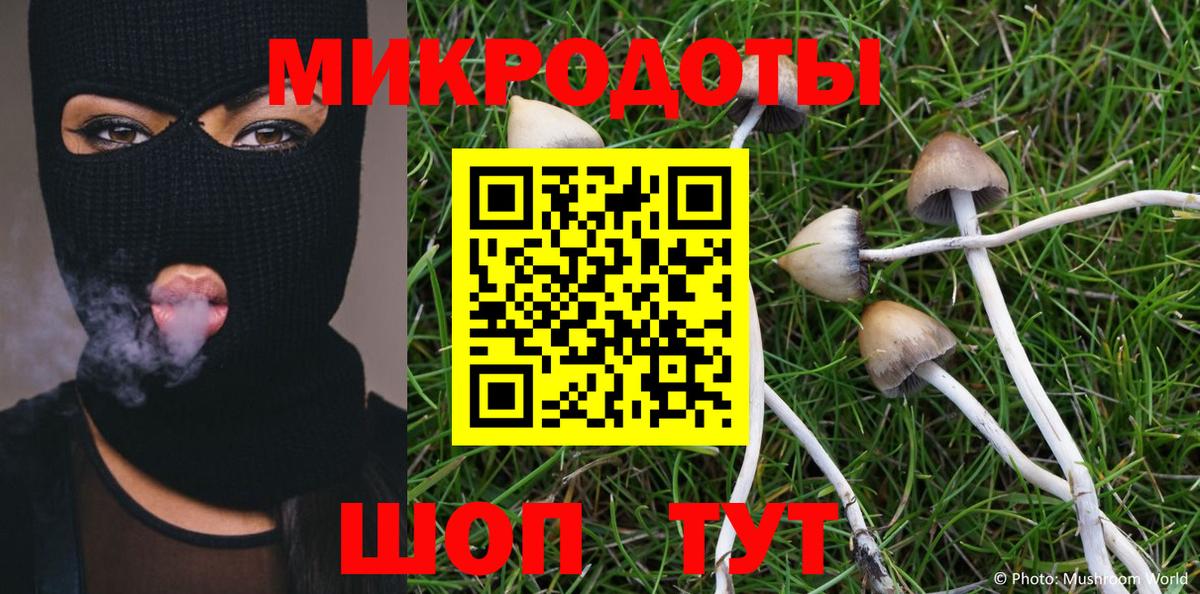 Галлюциногенные грибы мицелий  Кашира  Псилоцибиновые грибы прущие грибы 