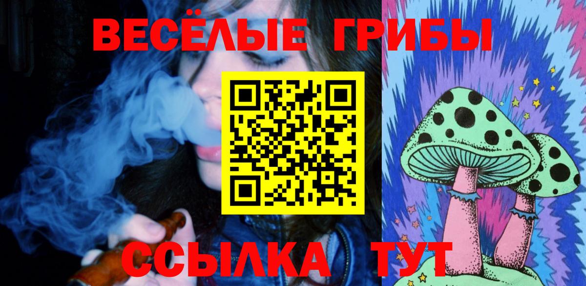 Галлюциногенные грибы мухоморы Кашира