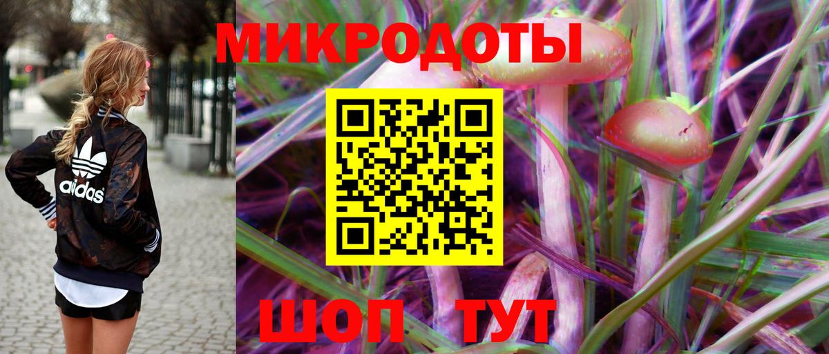Псилоцибиновые грибы Psilocybine cubensis  Вход с VPN  Кашира  Псилоцибиновые грибы Psilocybine cubensis 