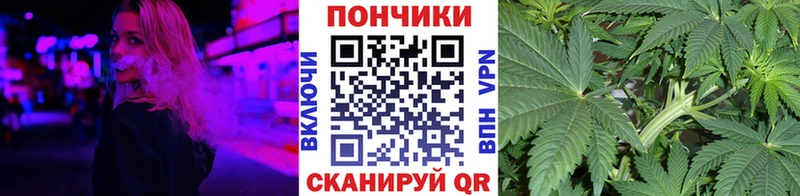 Марихуана план  маркетплейс наркотические препараты  Кашира 